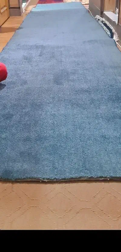 پلاز موکت|موکت|الیگودرز, |دیوار