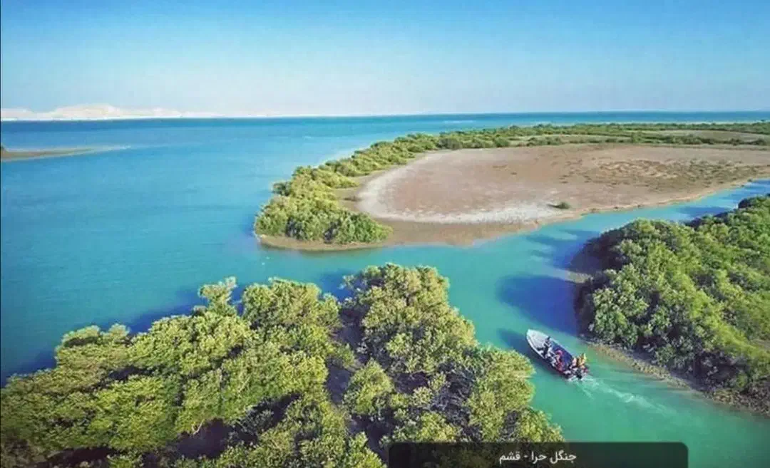 تور یک روزه VIP جاذبه های قشم|تور و چارتر|قشم, |دیوار