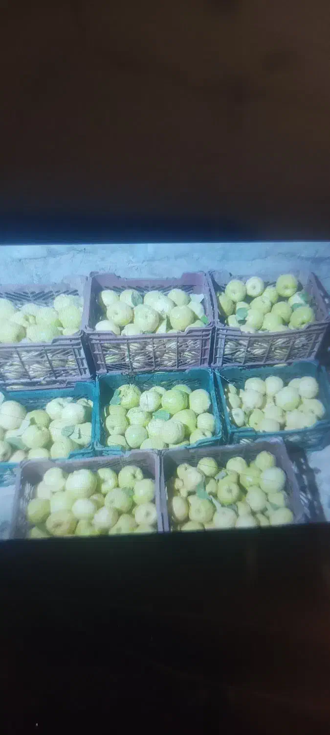 میوه به اصفهان|خوردنی و آشامیدنی|شیراز, لشکری‎|دیوار