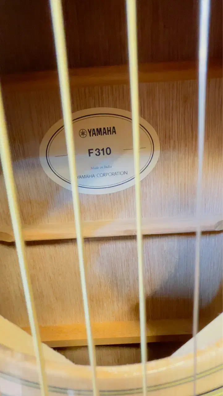 گیتار اکوستیک|گیتار، بیس، امپلیفایر|مشهد, احمدآباد|دیوار