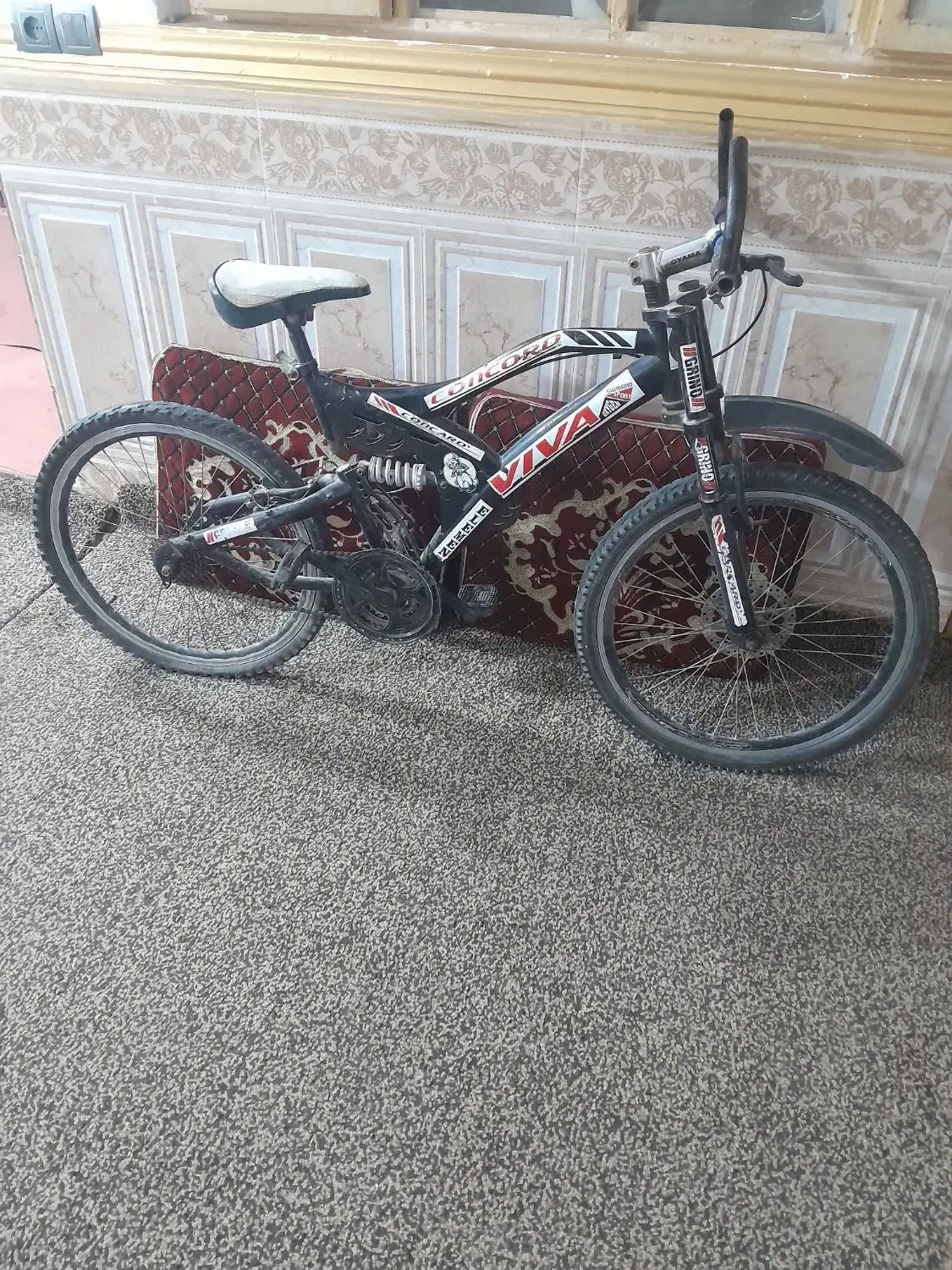 دوچرخه ویوا ۲۴|دوچرخه، اسکیت، اسکوتر|آبادان, |دیوار