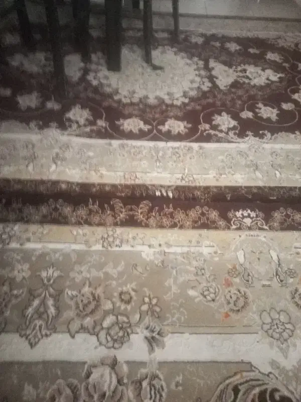 فرش دوعدد مفت هردو ست هم هستندیک۱۲متری ویک۶متری|فرش|کاشان, دانش|دیوار