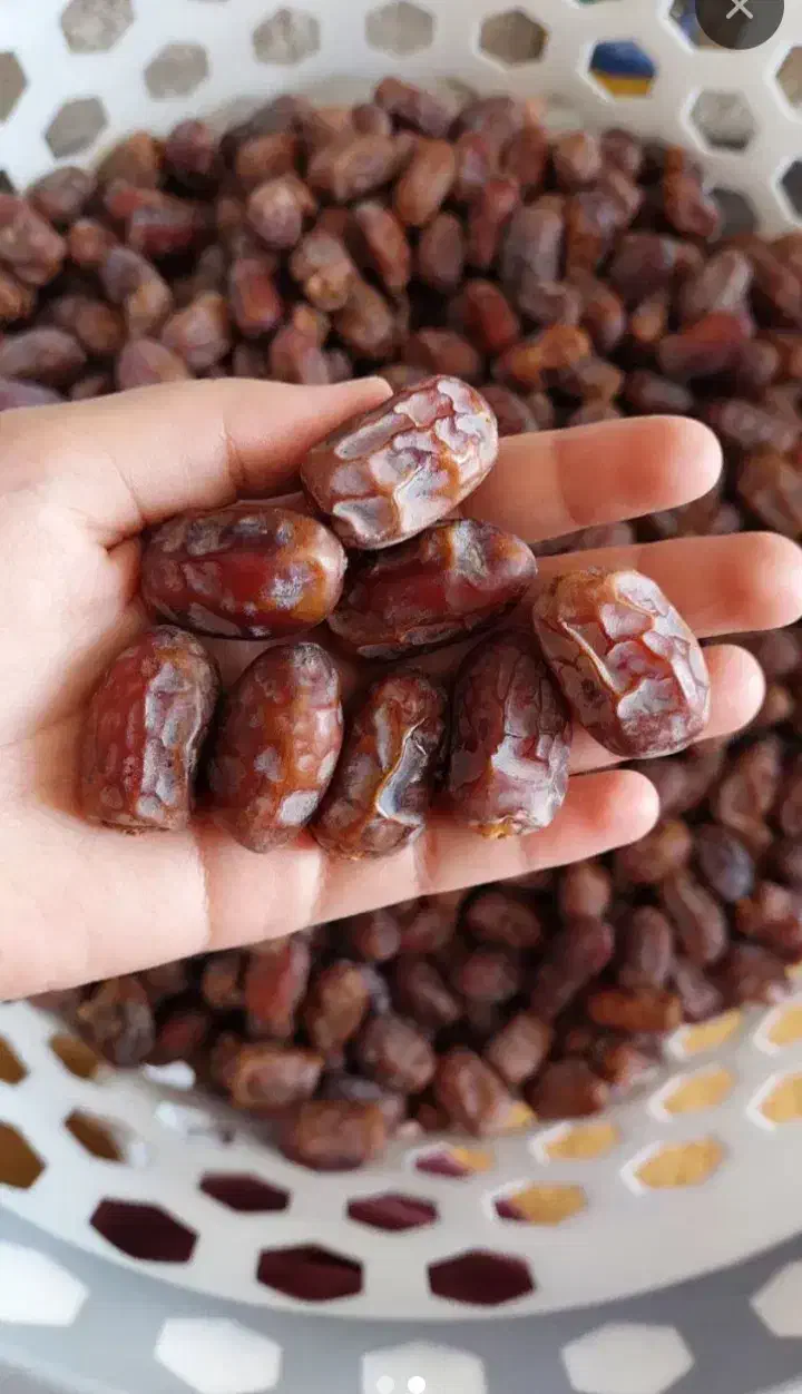 خرما گنطارواستعمران|حراج|اهواز, پردیس دو|دیوار