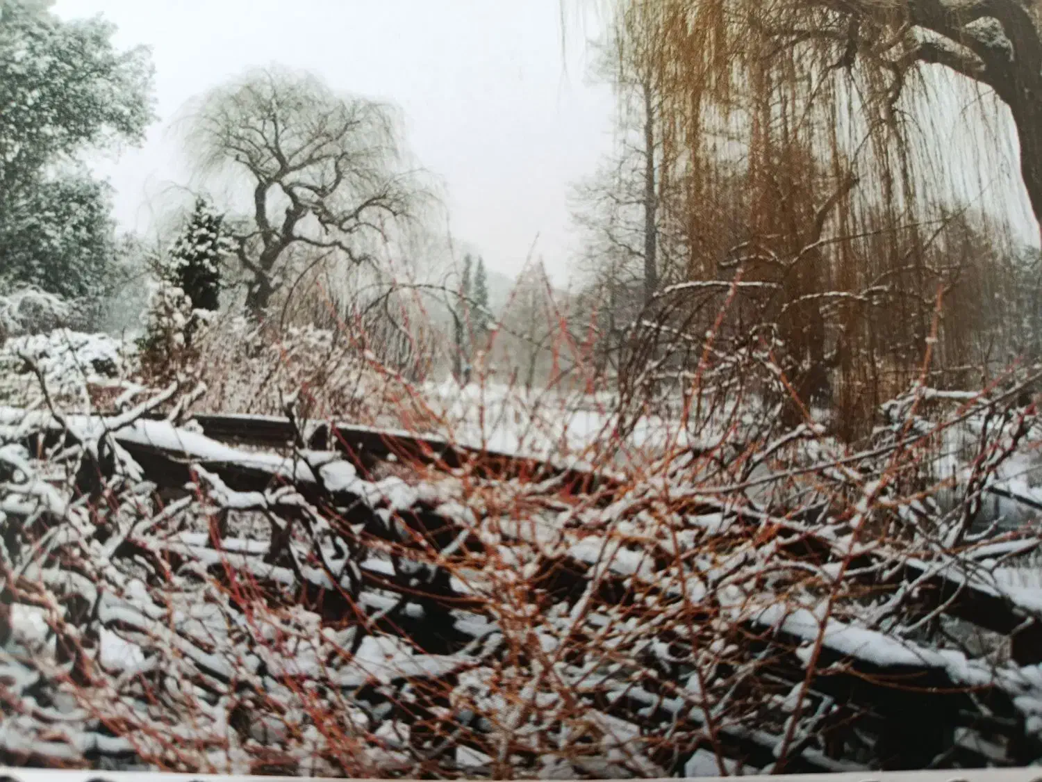 نظافت منازل - راه پله - مراقبت از سالمند|خدمات نظافت|پیر بکران, |دیوار