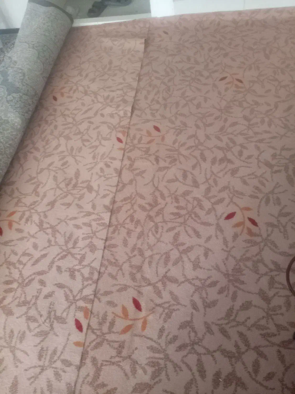 موکت|موکت|سبزوار, قصبه شرقی|دیوار