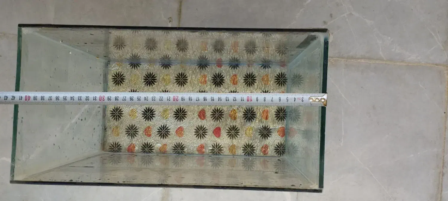 آکواریم نونو|ماهی|خزل, |دیوار