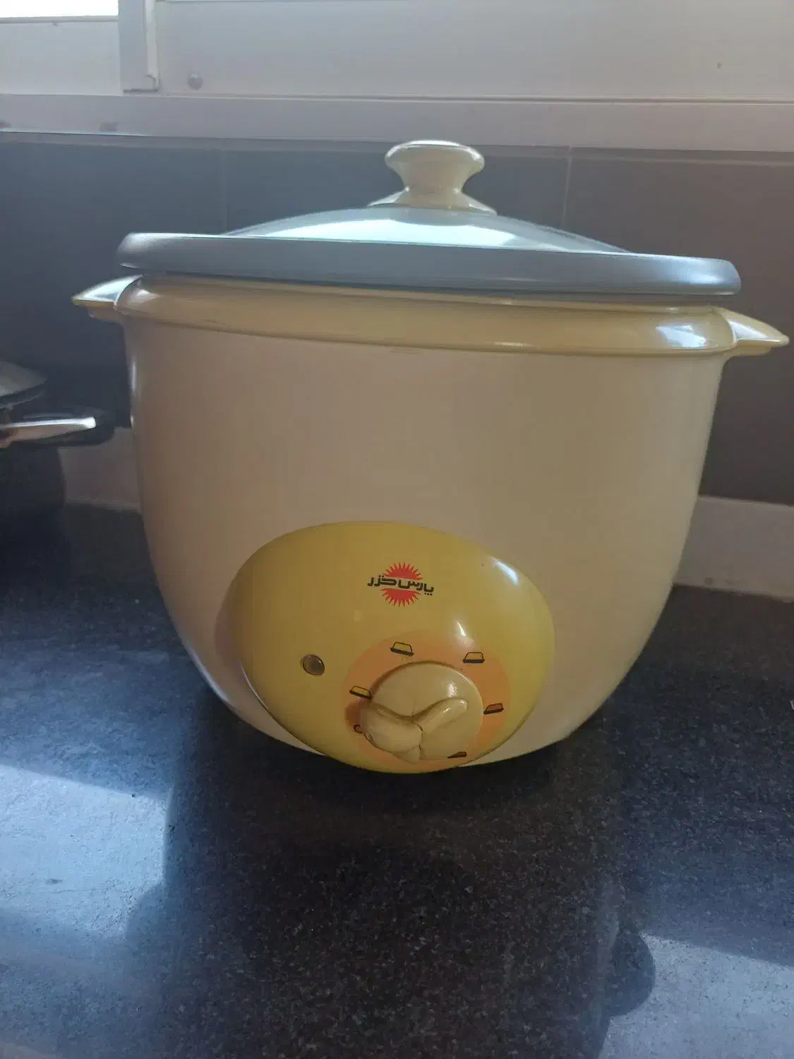 پلوپز برقی پارس خزر|اجاق گاز و لوازم برقی پخت‌وپز|ساری, |دیوار