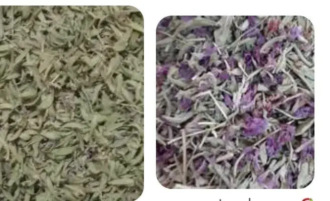 گیاهان دارویی ارگانیک محلی به صورت کلی و جزیی|آرایشی، بهداشتی، درمانی|اسدآباد, |دیوار