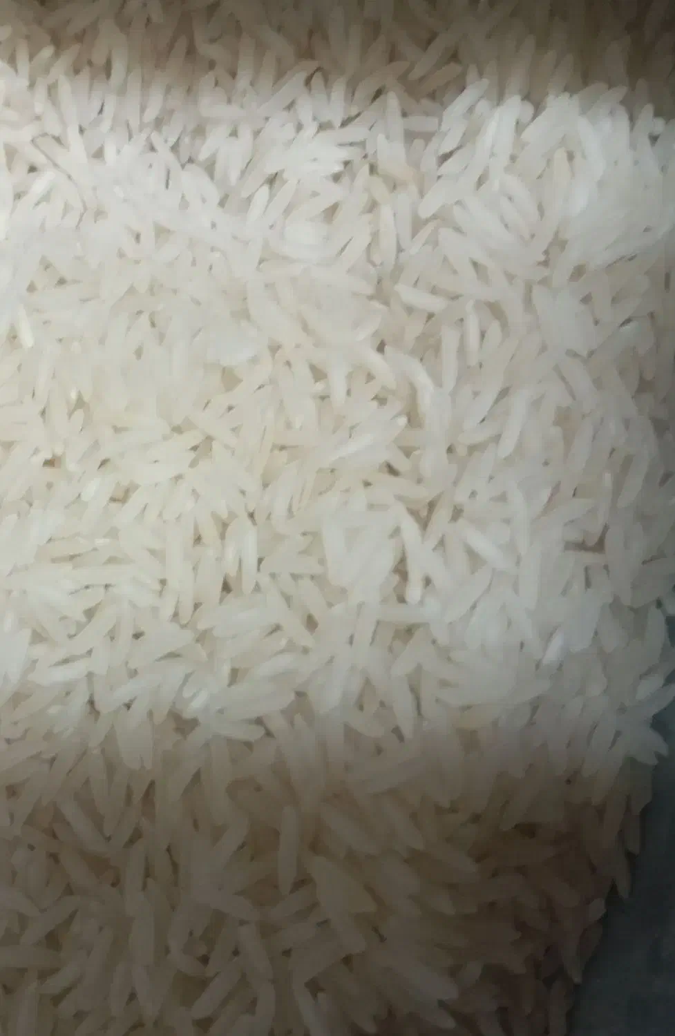 برنج طارم محلی کیلویی ۱۷۰ت|خوردنی و آشامیدنی|یزد, |دیوار