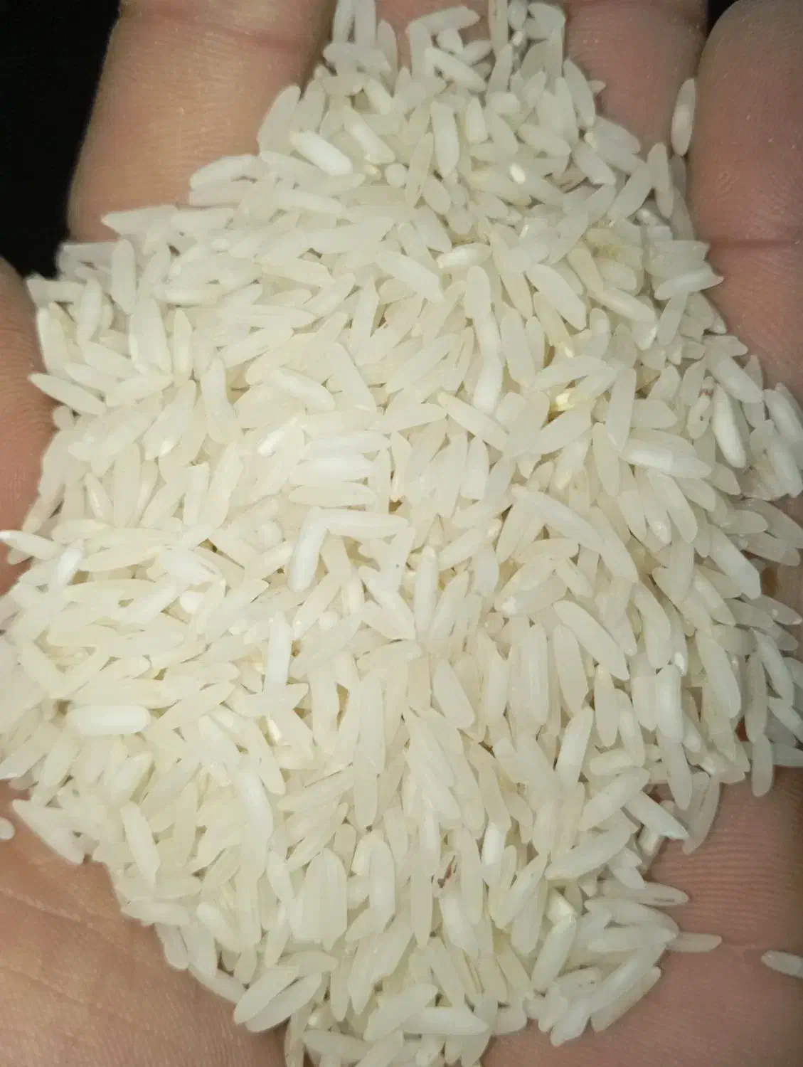 برنج دره رود|خوردنی و آشامیدنی|پارس‌آباد, |دیوار