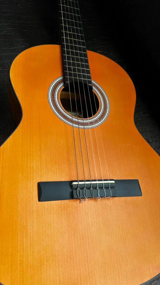 گیتار کلاسیک پارسی|گیتار، بیس، امپلیفایر|بندر انزلی, آخرخط|دیوار