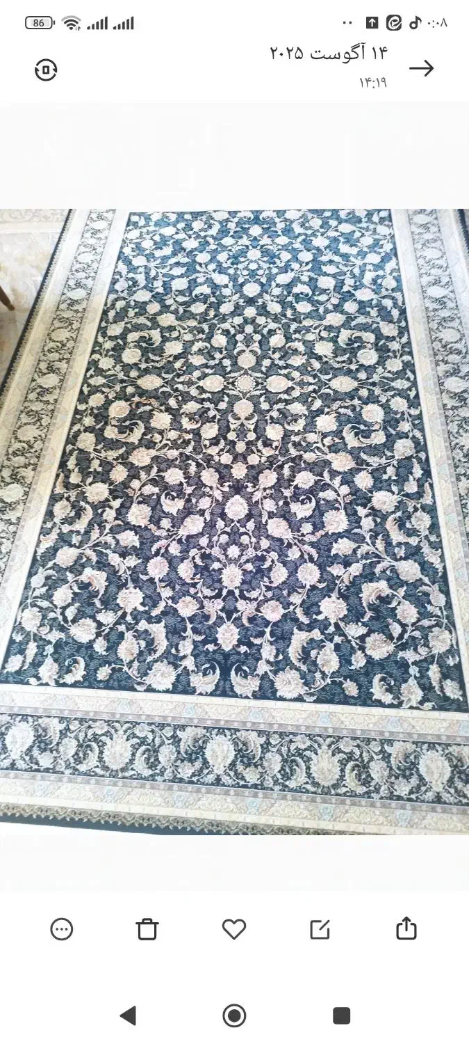 فرش|فرش|تهران, استخر|دیوار