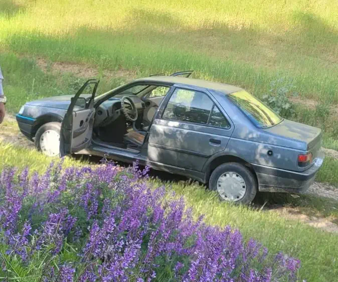 پژو ۴۰۵ مدل ۸۹|خودرو سواری و وانت|سیرجان, |دیوار