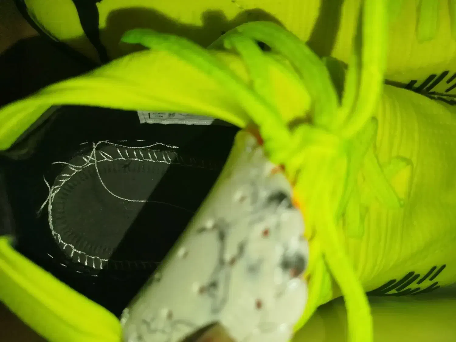 کفش سالنی نیمه جورابی|کیف، کفش، کمربند|طرقبه, |دیوار