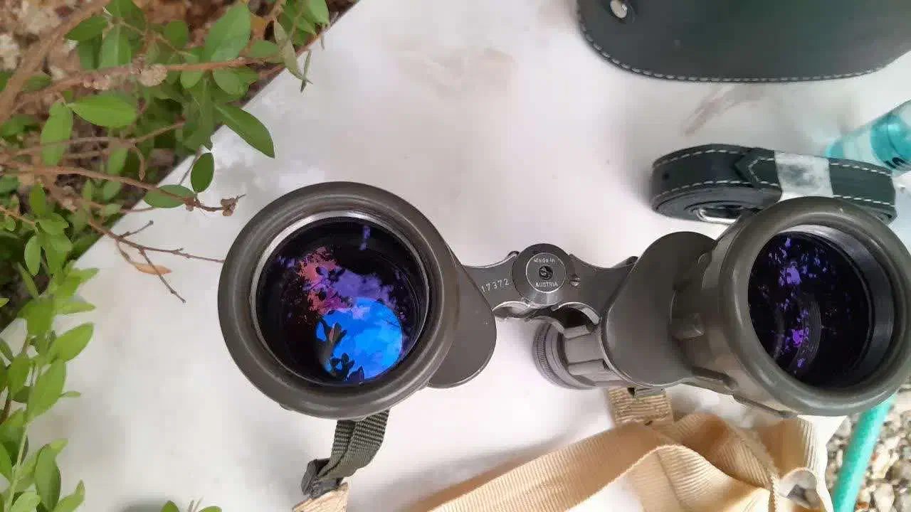 دوربین شکاری زاواروسکی|کوهنوردی و کمپینگ|شهرکرد, |دیوار