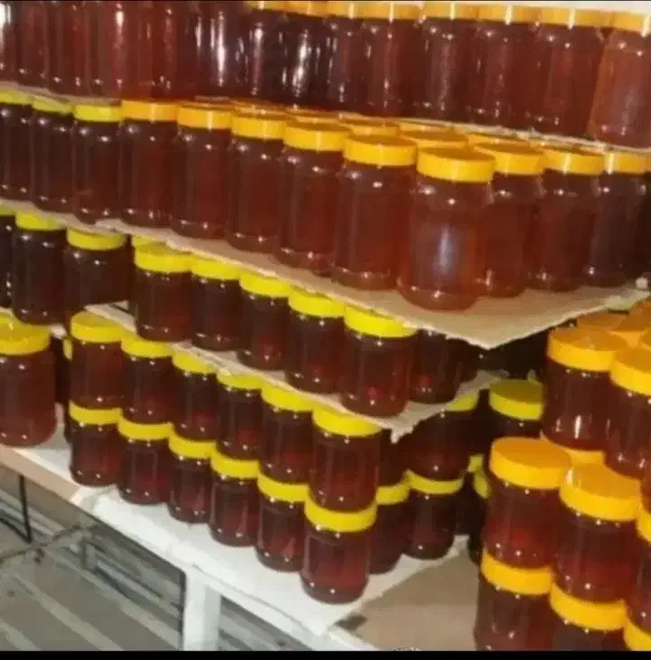 عسل|عمده‌فروشی|اردبیل, |دیوار