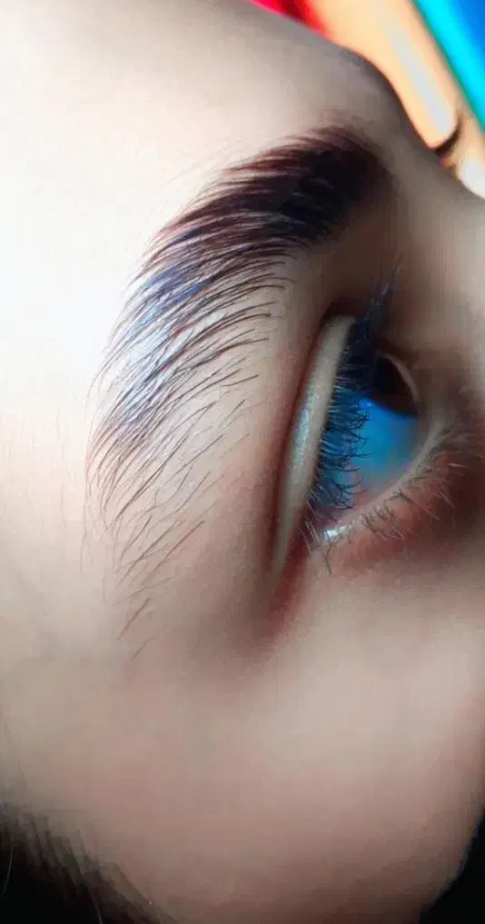 آموزش و خدمات دهی|خدمات آموزشی|زابل, |دیوار