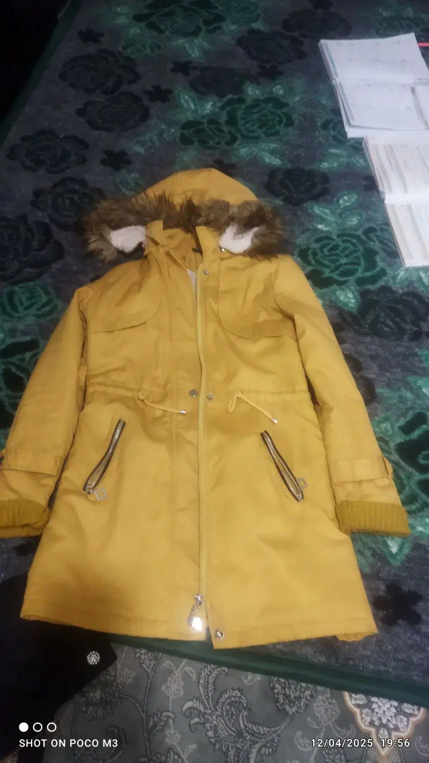 پالتوی زمستانی|لباس|میاندوآب, |دیوار