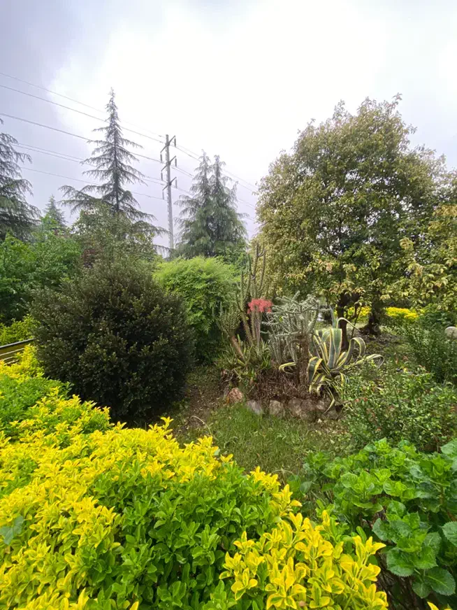 نمک آبرود /ویلا مجاورت فضای سبز|فروش خانه و ویلا|چالوس, |دیوار