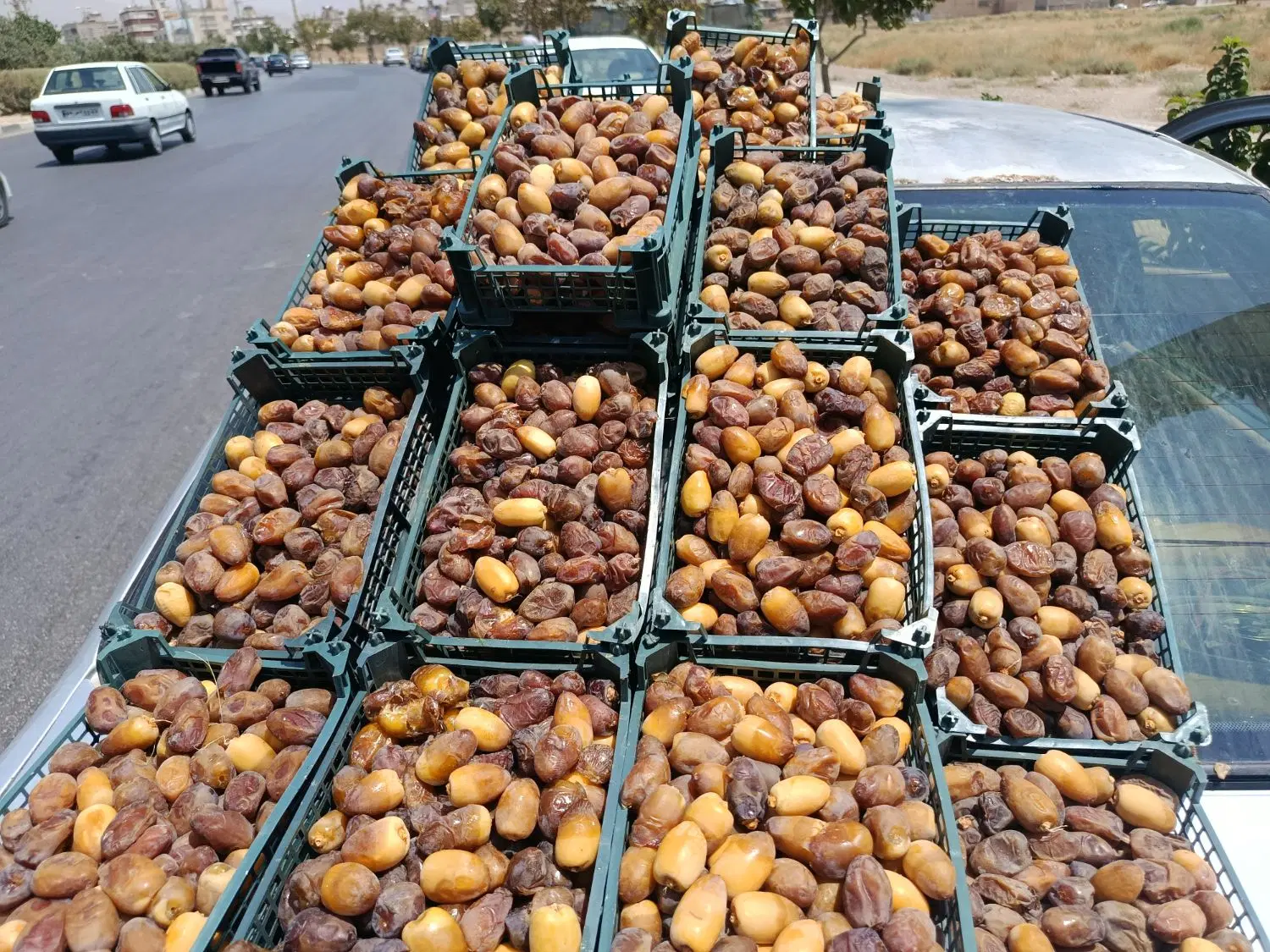 رطب|خوردنی و آشامیدنی|شیراز, شهرک دارایی|دیوار
