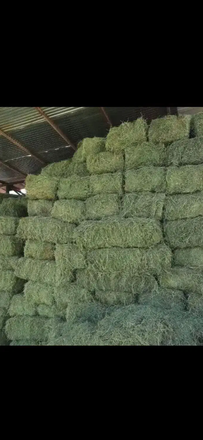 یونجه پرس|لوازم جانبی حیوانات|اهواز, اهواز|دیوار