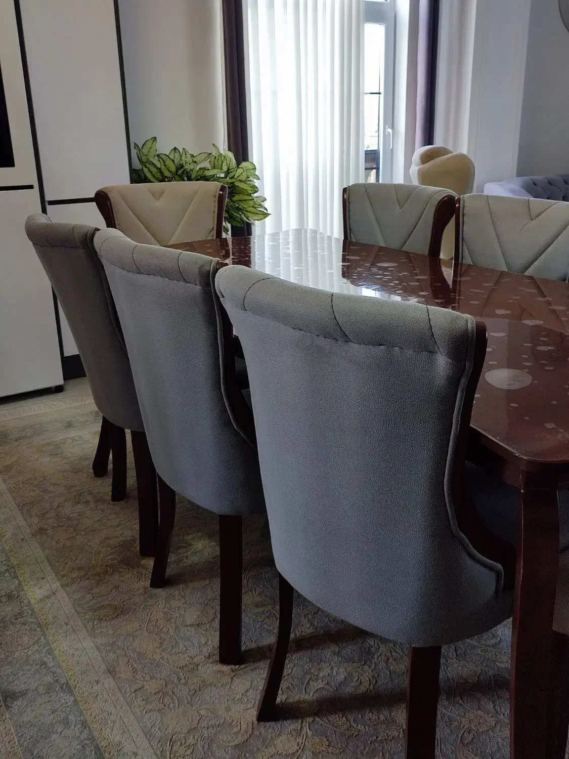 میز غذا خوری ۸نفره|میز و صندلی غذاخوری|رشت, کاکتوس|دیوار