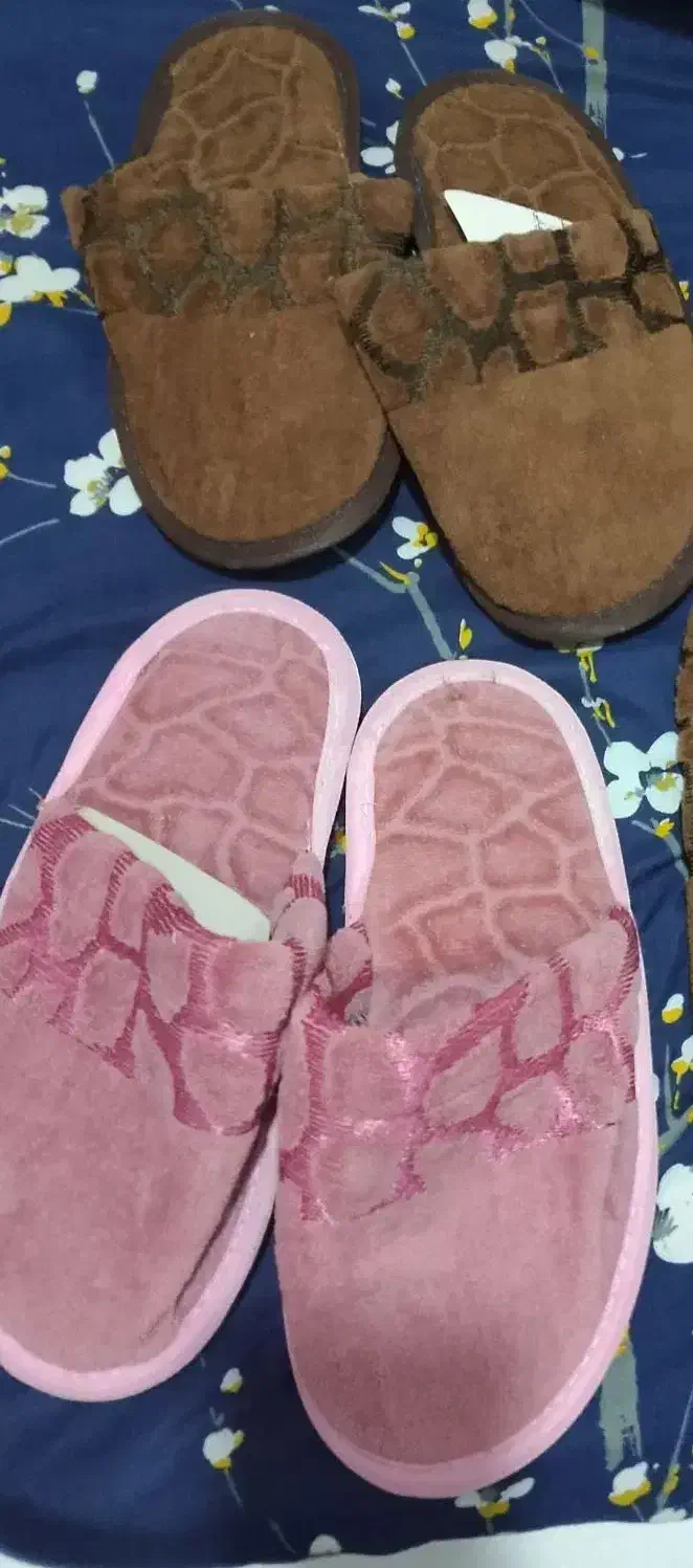 دمپایی|کیف، کفش، کمربند|مشهد, کوی دروی|دیوار