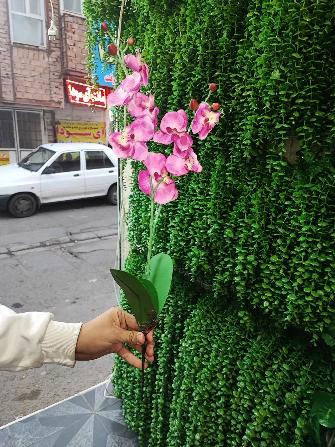 ارکیده مصنوعی|گل مصنوعی|قم, نیروگاه|دیوار