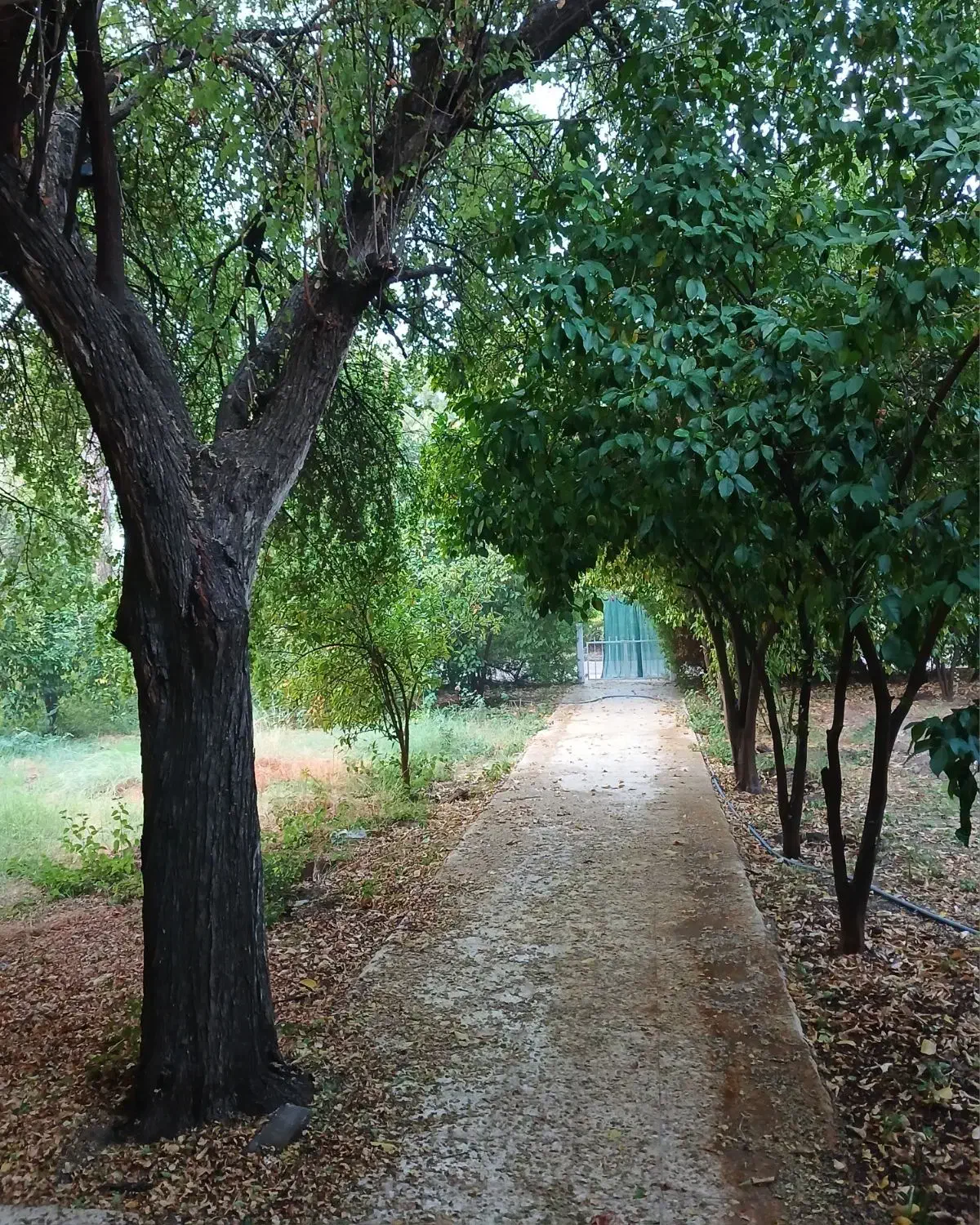 رهن آپارتمان کوی نیرو آرش ۲|اجارهٔ آپارتمان|اندیمشک, |دیوار