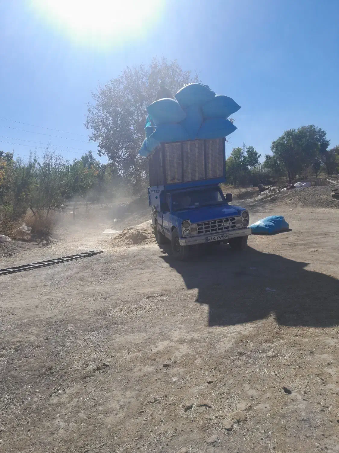 کاه گندم نرم ارسال به گلپایگان .خوانسار.میمه|خدمات باغبانی و درختکاری|گلپایگان, |دیوار