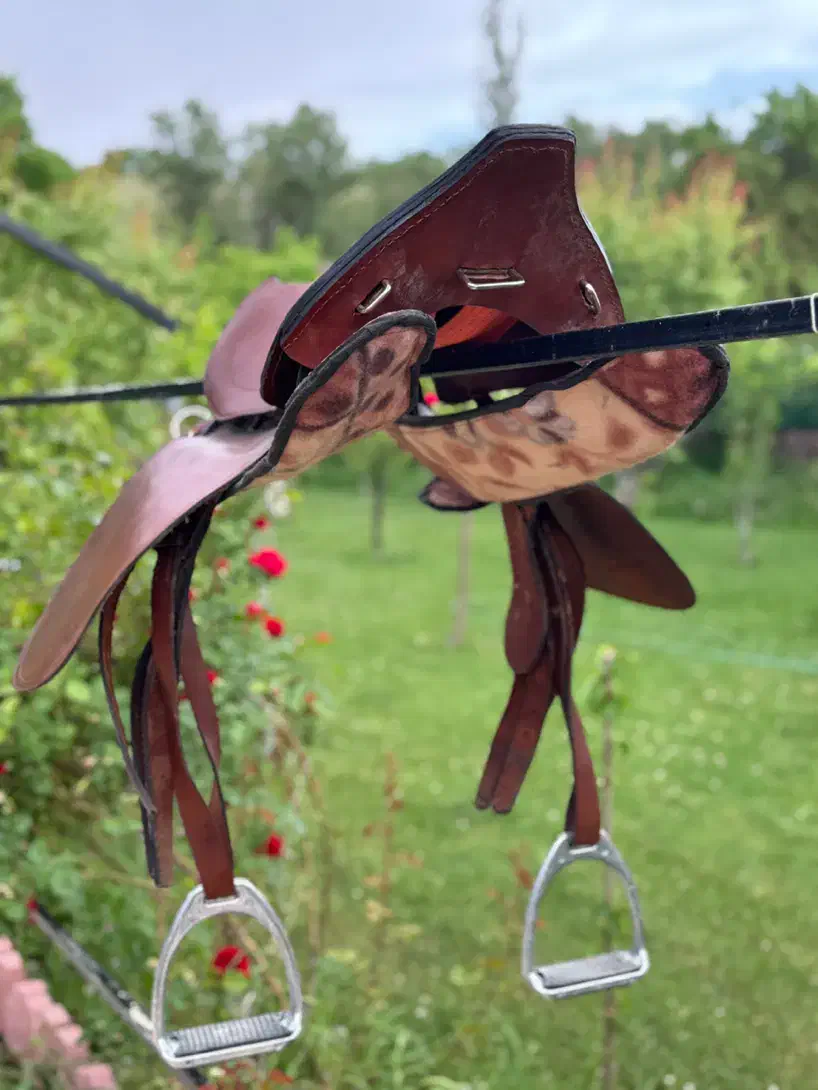 زین اسب|اسب و تجهیزات اسب‌سواری|تبریز, |دیوار