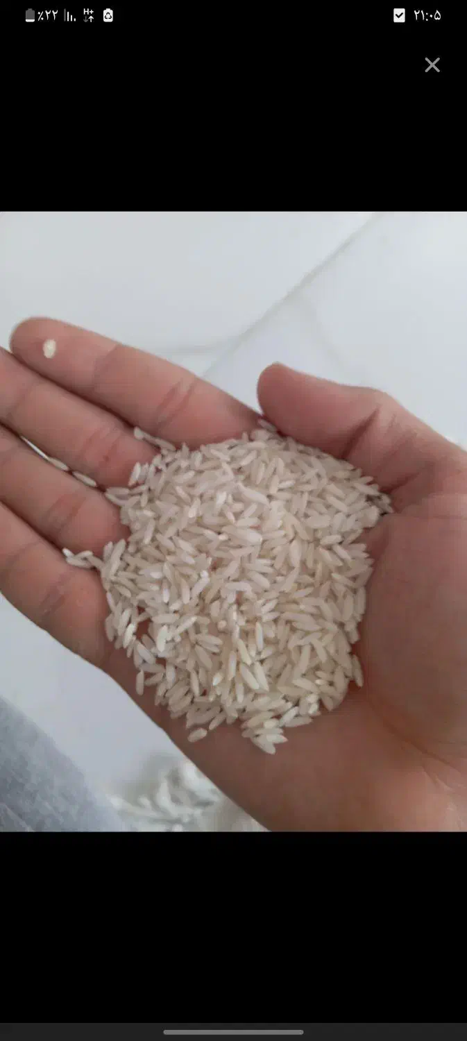 برنج ممان|خوردنی و آشامیدنی|میانه, |دیوار