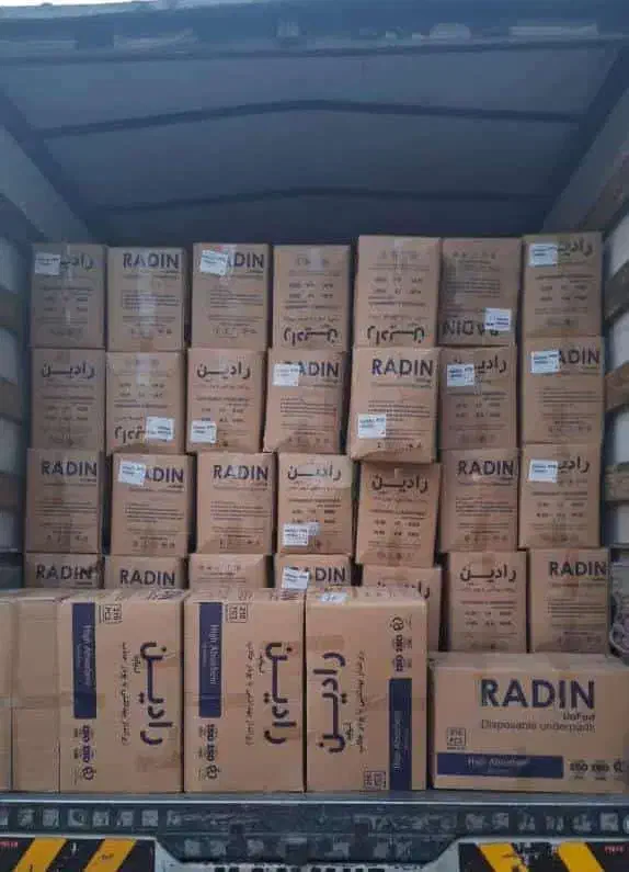 زیرانداز بیمار بهداشتی (دروشیت)60*90 با جذب بالا|آرایشی، بهداشتی، درمانی|شیراز, شاهجیان|دیوار