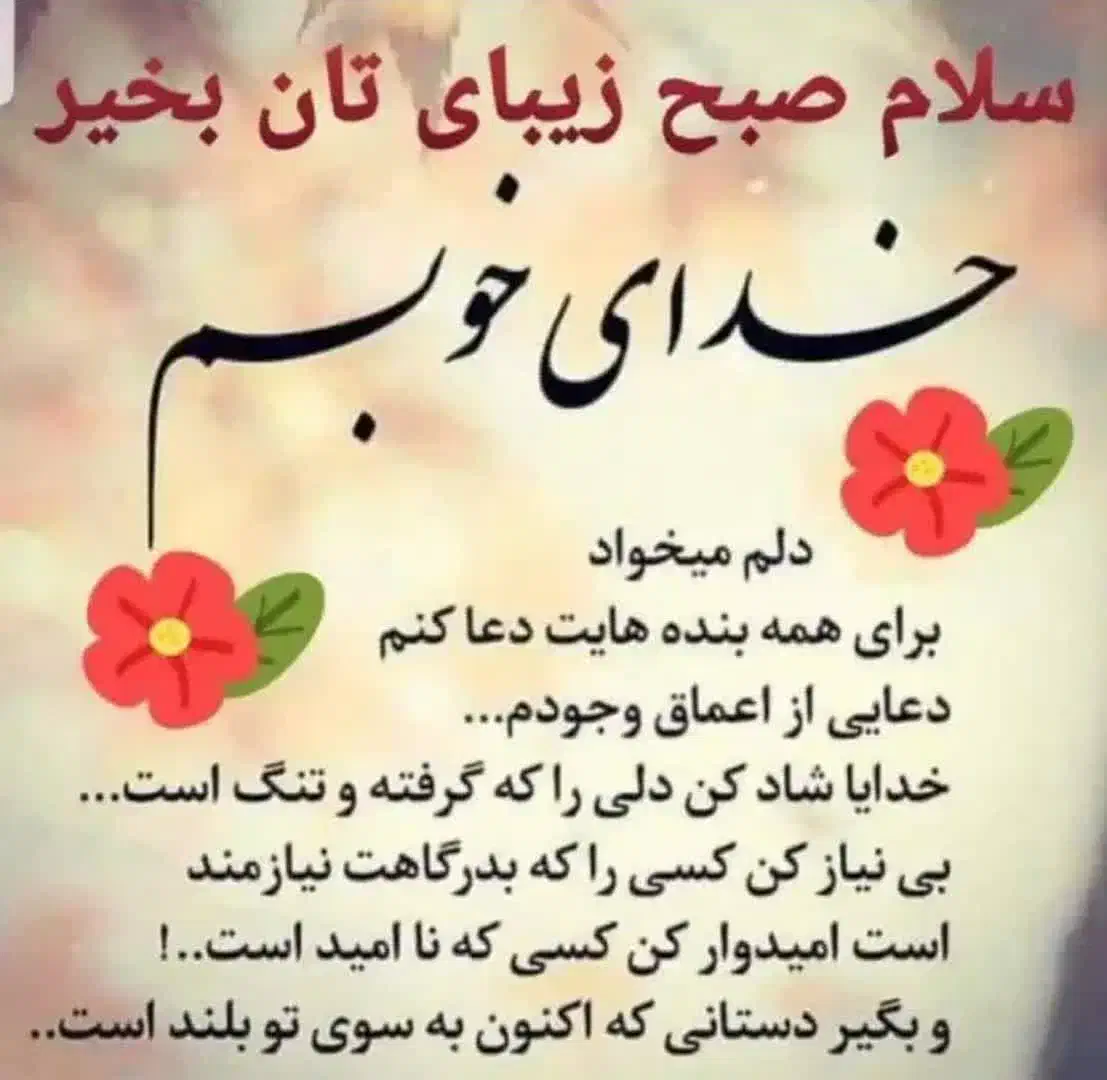 فیش حج واجب ۲ عدد|تور و چارتر|مشهد, فردوسی|دیوار