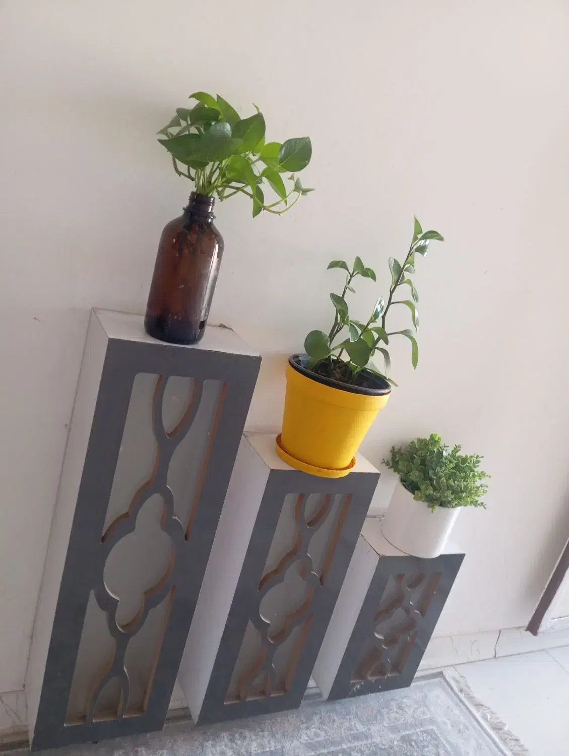 شلف دیواری|کتابخانه، شلف، قفسه‌های دیواری|اهواز, کمپلو جنوبی|دیوار