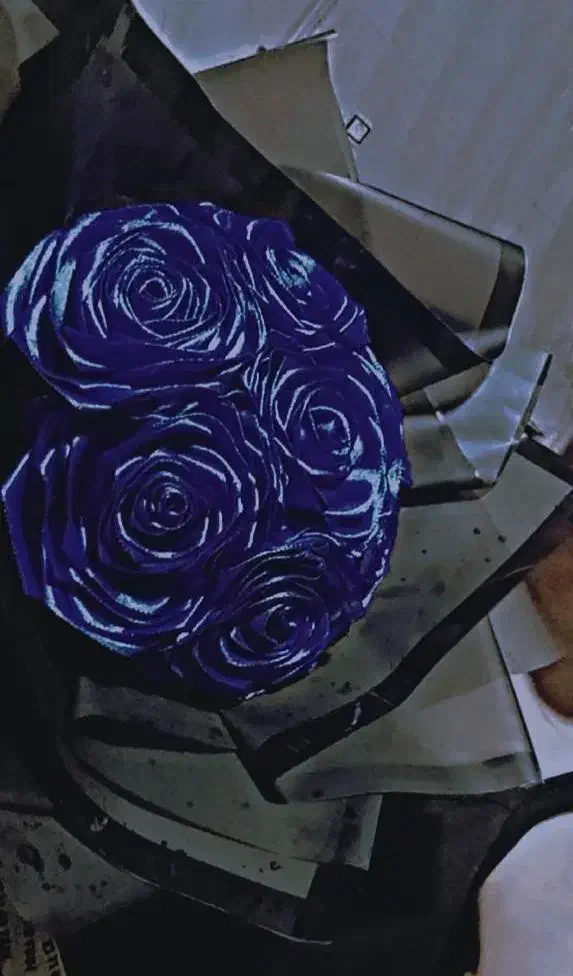 ساخت گل های روبانی|گل مصنوعی|گرگان, |دیوار