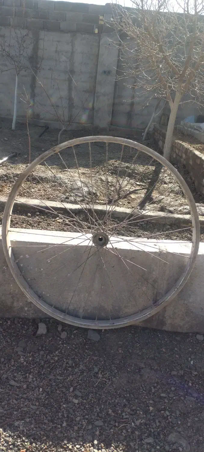 رینگ دوچرخه 26|دوچرخه، اسکیت، اسکوتر|گلبهار, شهر جدید گلبهار|دیوار