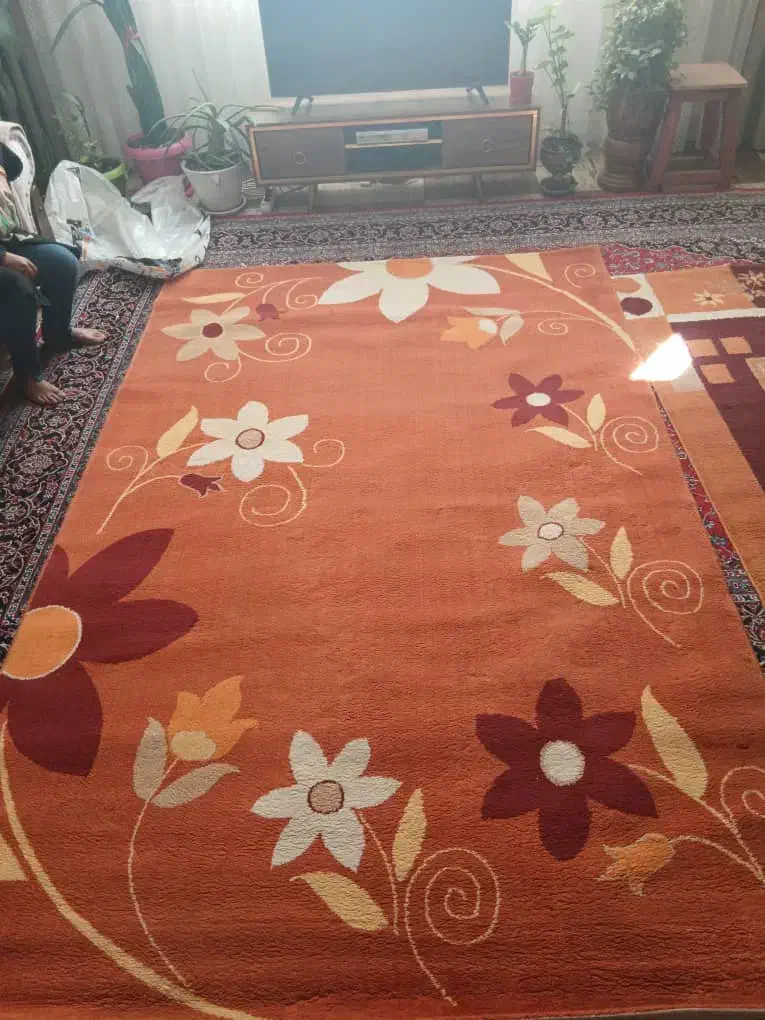 قالی|فرش|شهرکرد, |دیوار