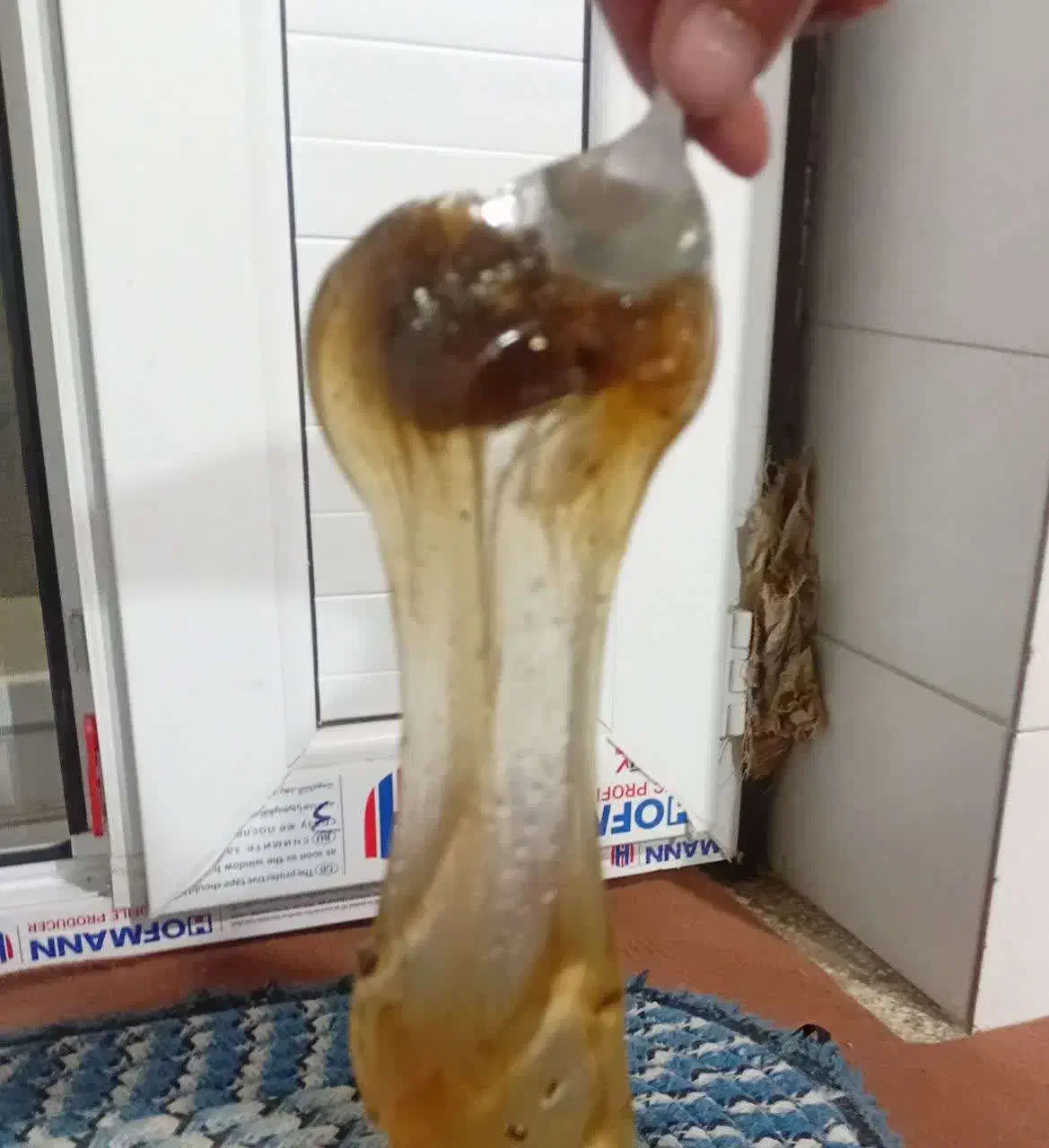 سقز مایع و دون خشک|خوردنی و آشامیدنی|پاسارگاد, |دیوار