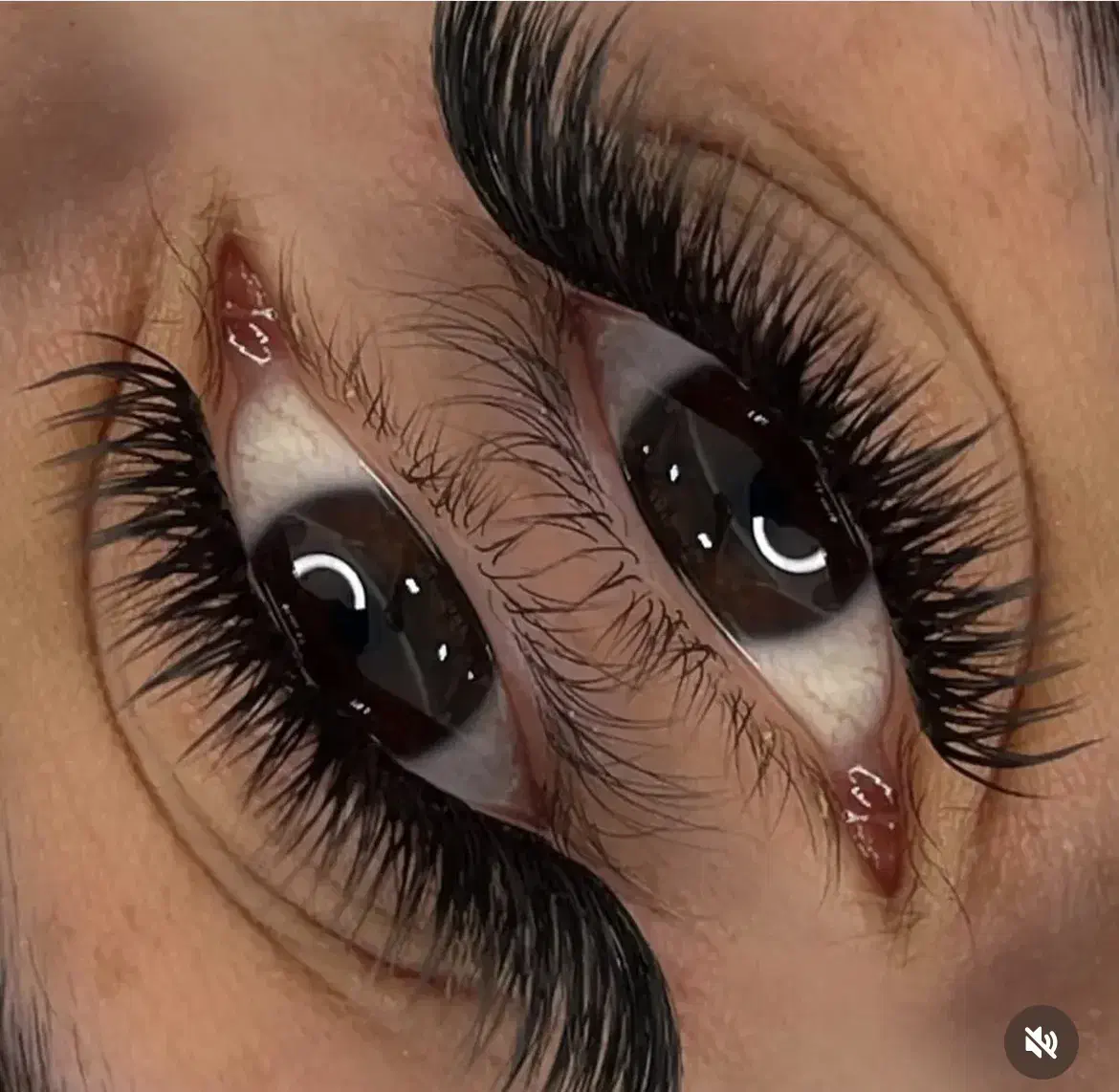 مدل کاشت مژه(فقط هزینه مواد )|خدمات آرایشگری و زیبایی|اصفهان, برازنده|دیوار