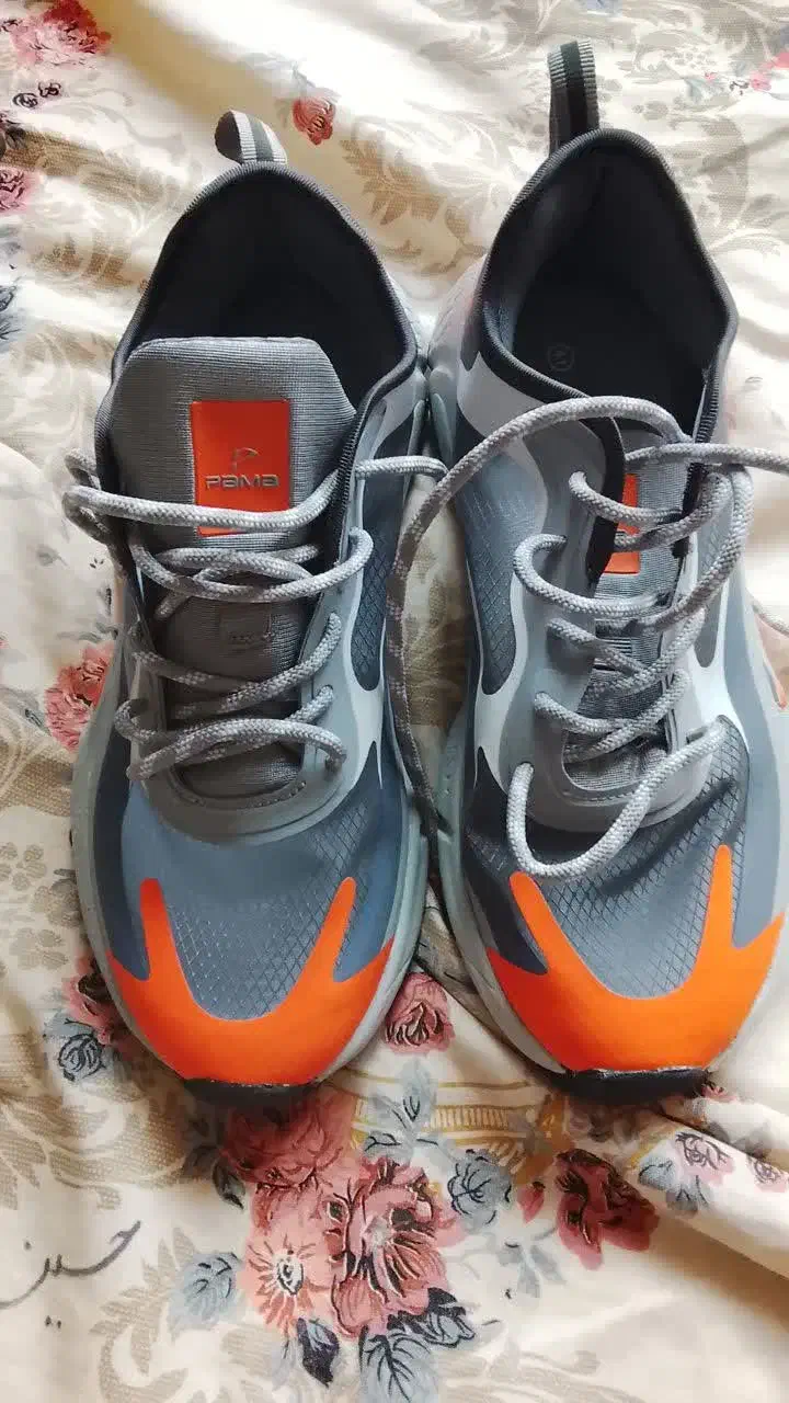 کفش پاما|کیف، کفش، کمربند|گناباد, |دیوار