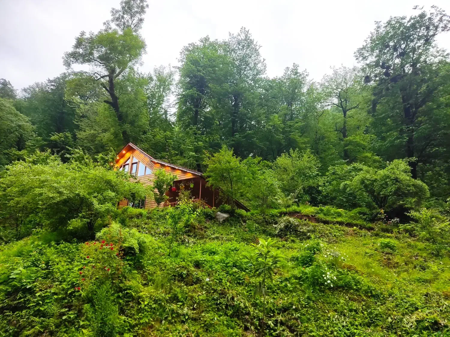 اجاره کلبه چوبی دوخوابه|اجارهٔ کوتاهمدت ویلا و باغ|اسالم, |دیوار