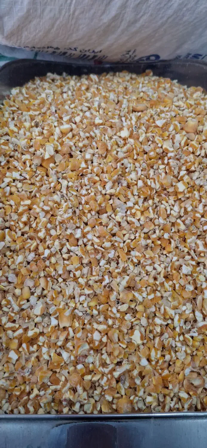 ذرت چهارپر برزیل|عمدهفروشی|شهریار, اصیل آباد|دیوار