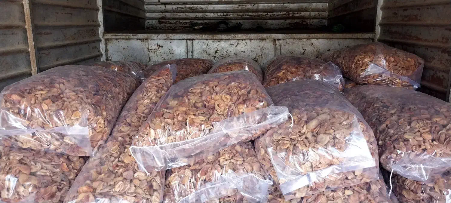 برگه زردالو قیسی درهم|خوردنی و آشامیدنی|ایجرود, |دیوار