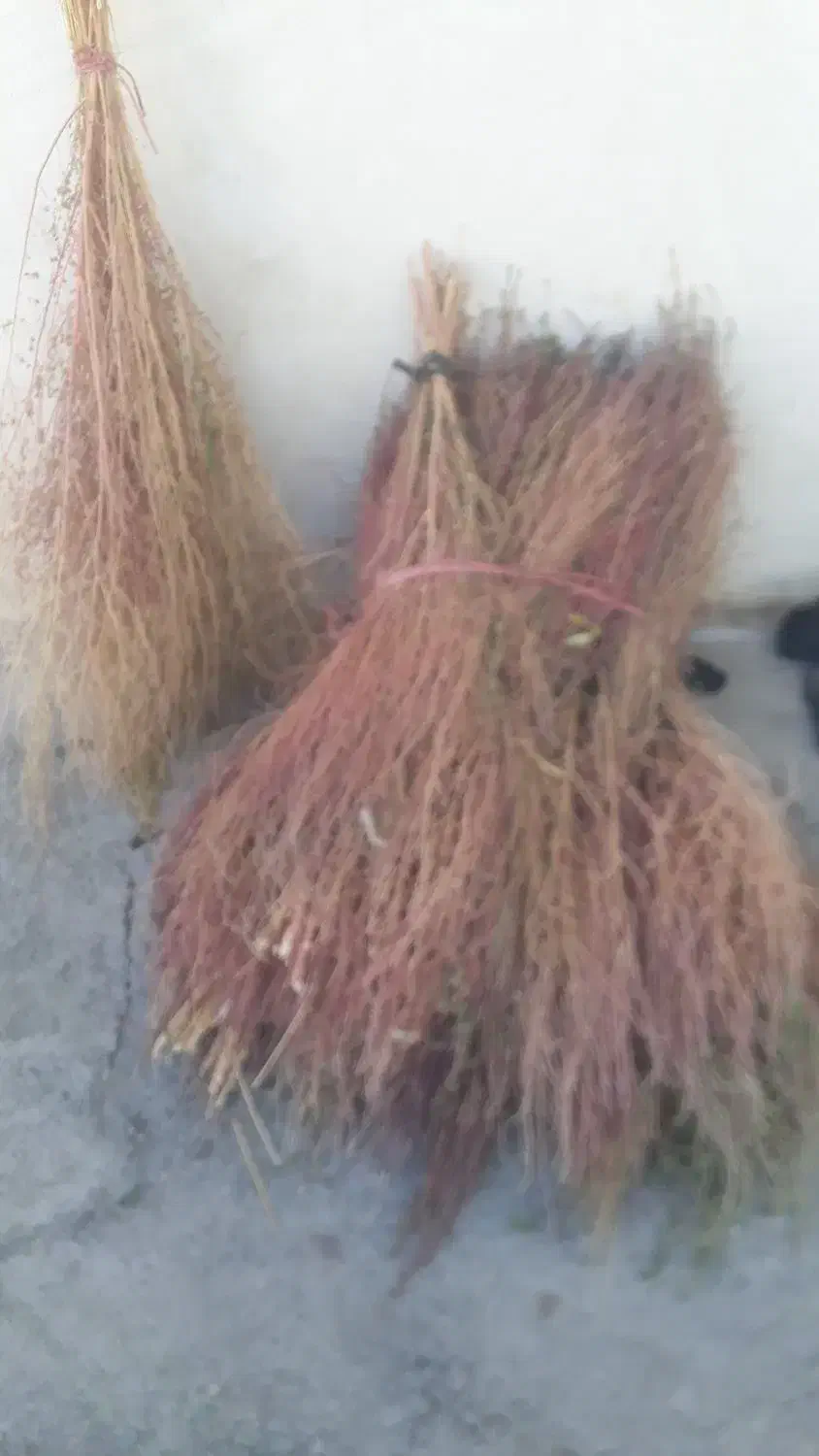 جارو|لوازم نظافت|دورود, |دیوار