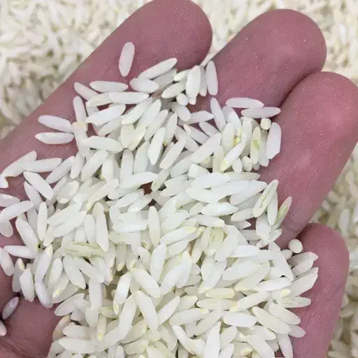 برنج درود|خوردنی و آشامیدنی|الیگودرز, |دیوار