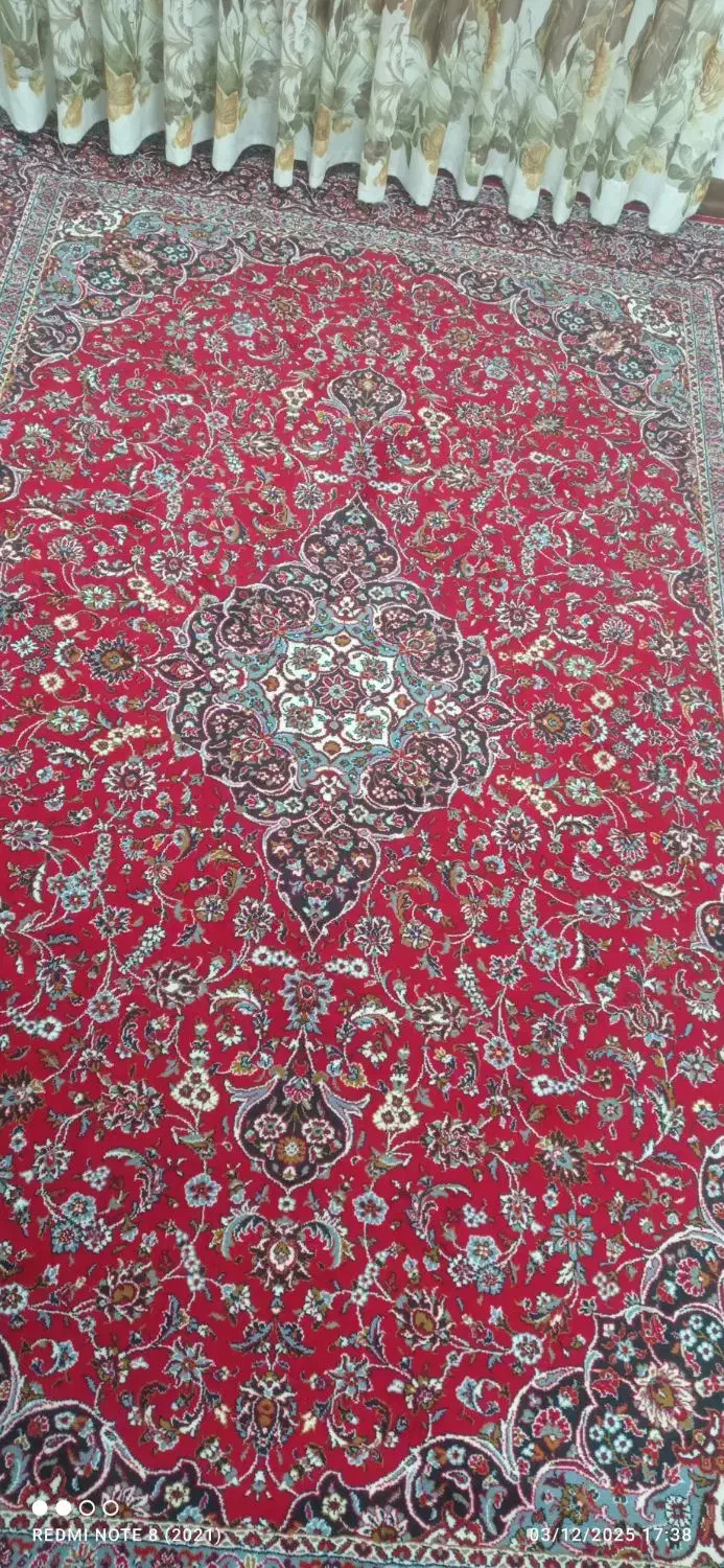 2 عدد فرش 6 متری|فرش|رشت, کوی غلام نیا|دیوار