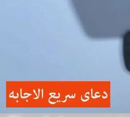 دو باب مغازه|اجارهٔ مغازه و غرفه|تربت جام, شاد|دیوار