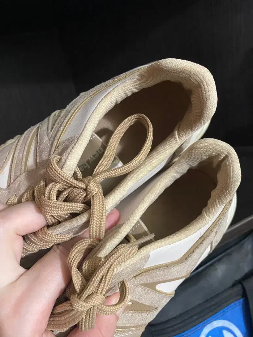 کتونی|کیف، کفش، کمربند|گنبد کاووس, |دیوار