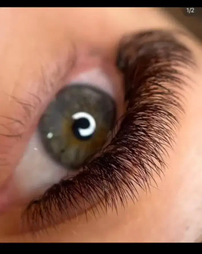 جشنواره اکستنشن مژه و لیفت و لمینت مژه و ابرو|خدمات آرایشگری و زیبایی|فردیس, فردیس|دیوار